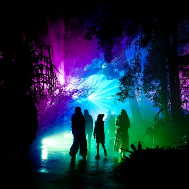 ✨ Winter school holidays = sorted! ✨

The ultimate family day out starts at @MelbourneSkydeck and ends under the lights of @lightscapeau. 

Even better? 🎉 Lightscape ticket holders receive 20% off admission at Melbourne Skydeck! 

Watch the sunset from Melbourne’s highest attraction, then take a short stroll to experience the magic of Lightscape at the Royal Botanic Gardens.

🌟 20 brand-new installations for 2026
🔥 Toast marshmallows and sip hot chocolate
✨ Interactive experiences throughout the trail

Simply show your Lightscape ticket at the Melbourne Skydeck ticket desk to redeem your 20% discount.

Here’s to a magical winter school holiday adventure! 💫

✨ Sunset above the city. Magic beneath the stars. Two iconic Melbourne experiences, one unforgettable winter night. ✨

#LightscapeAu #Melbourneskydeck #whatsonmelbourne #winter #schoolholidays.