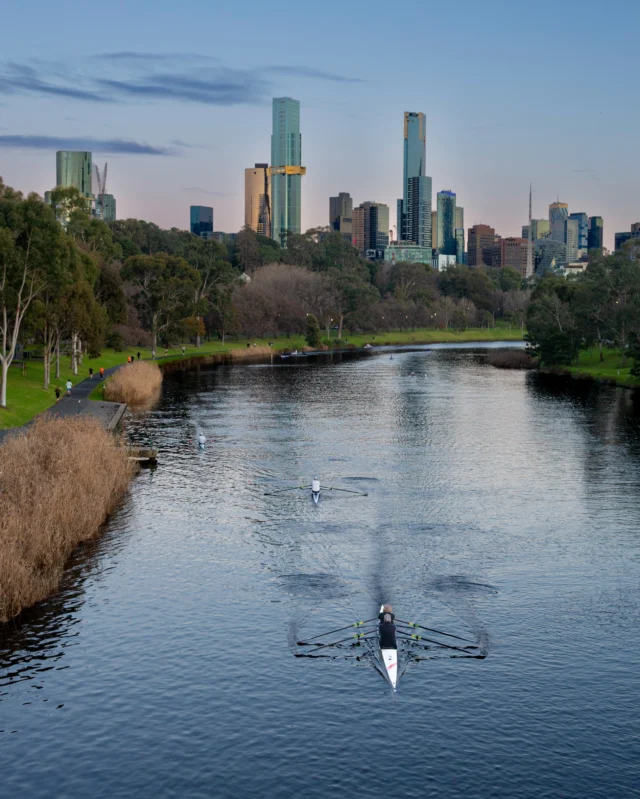 There’s nothing quite like #Melbourne on a winter weekend. ✨

Take a stroll across Morell Bridge, just like @walking_perspective, and soak up the sights along the Yarra — from joggers and walkers to rowers gliding peacefully along the water.

And that city skyline? Simply exceptional. 🙌

Who’s visiting us this weekend? Make a day of it and come see Melbourne from above at Skydeck.

📸 @walking_perspective 🙌

#MelbourneSkydeck #VisitMelbourne #MelbourneViews #WhatsOnMelb
